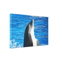 Bottlenose Dolphin Canvas Prints