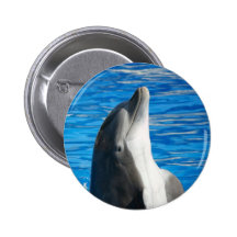 Bottlenose Dolphin Pins