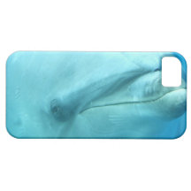 Bottlenose Dolphin Underwater iPhone 5 Covers