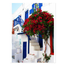 Bougainvillea growing outside a house, Mykonos Postcard