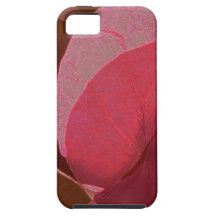 Bougainvillea iPhone 5 Cover