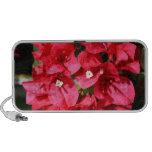 Bouganvillia flower doodle speaker