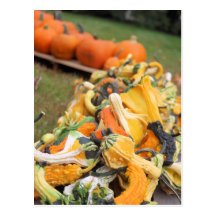 Bounty of Fall Postcards