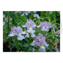 bouquet greeting cards