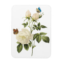 Bouquet of White Roses with Butterflies Magnet