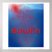Bowfin: blood in the water print