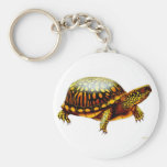 Box Turtle Keychain