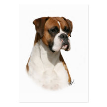 Boxer 9Y349D-079 Business Card Templates