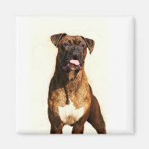 Boxer Dog magnet