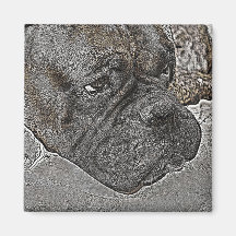 Boxer Dog Magnet