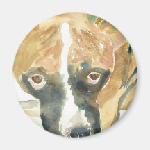 Boxer Doggie Buddy Magnets