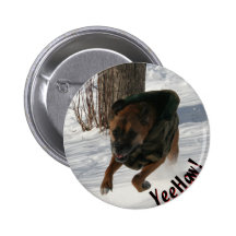 Boxer: Having a Rip-Snortin' Good Time Buttons