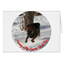 Boxer: Having a Rip-Snortin' Good Time Greeting Cards
