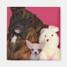 Boxer magnet Magnet