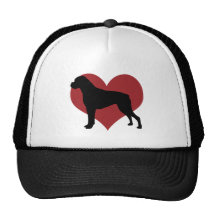 Boxer Mesh Hat