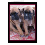 Boxer puppies greeting card