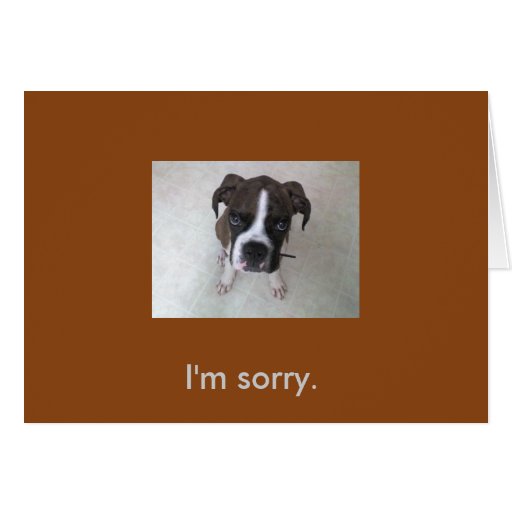 Boxer puppy I'm sorry card. Zazzle