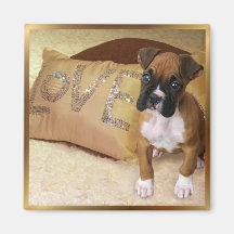 Boxer puppy love magnet