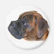 Boxer  puppy magnet