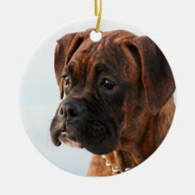 Boxer puppy ornament