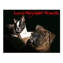 Boxers and Bostons:  Love Beyond Words Postcard