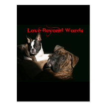 Boxers and Bostons:  Love Beyond Words Postcards