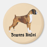 Boxers Magnet