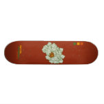 Boxes skateboards