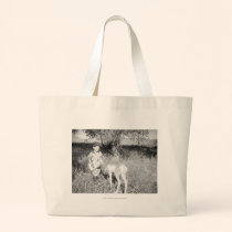 Boy feeding antelope by hand bags