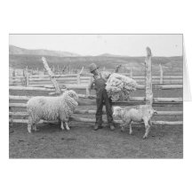 Boy holding up a bundle of wool cards