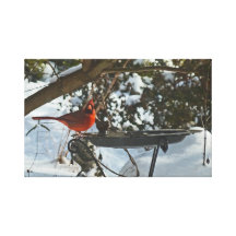 BR- Red Cardinal in the Snow Canvas Print