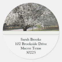 Bradford Pear Tree Address Label Sticker