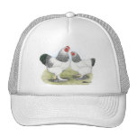 Brahma:  Light2 Trucker Hats