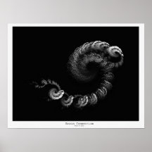 Brain Connection Posters