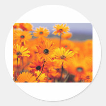 BRANDED STICKERS