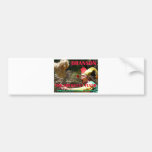 BRANSON THE FREQUENT FLYER BUMPER STICKERS