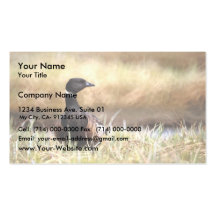 Brant Business Card Templates