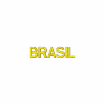 Brasil Brazil 2012 2014 champions sports Embroidered Hoody
