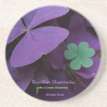 Brazilian Shamrock and the Green Volunteer, ©Li... Beverage Coasters
