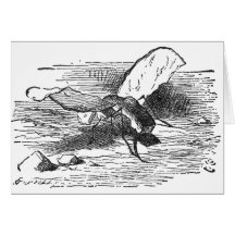Bread and Butter Fly Greeting Card