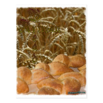 Bread Artisan postcards