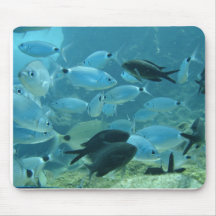 Bream School Mouse Pad
