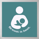 Breast Is Best Icon - Teal Poster