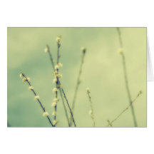 Breezy Greeting Cards