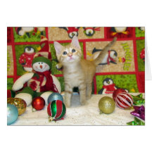 Breezy's Christmas Card