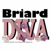 Briard DIVA Photo Cut Outs