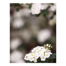 Bridal Veil Flowers Wedding RSVP Invitation