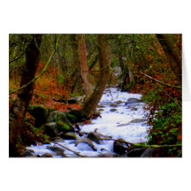 Bright Autumn River Greeting Card
