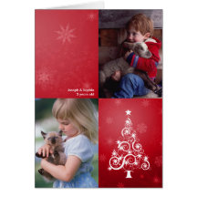 Bright Christmas Folded Photo Card