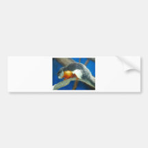 Bright coloured Squirrel Bumper Stickers